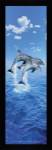 3 Dolphins