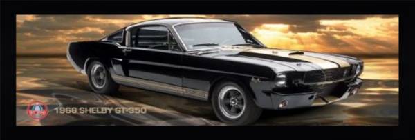 1966 Shelby GT-350