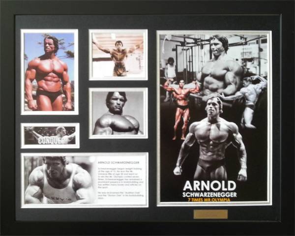 Arnold Schwarzenegger