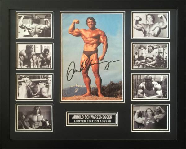 Arnold Schwarzenegger