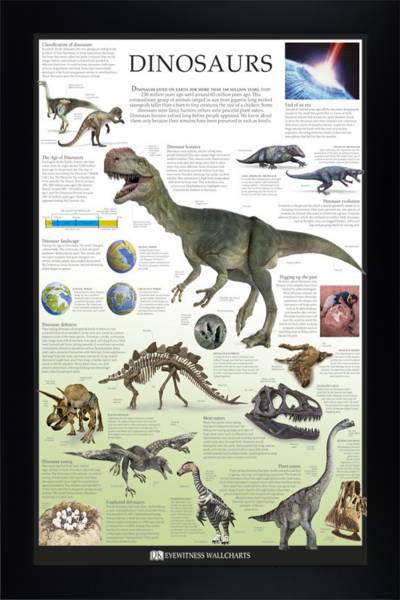 Dinosaurs