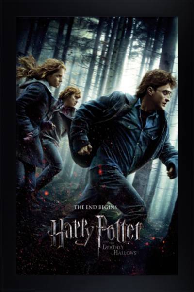 Harry Potter and the deathly hollows