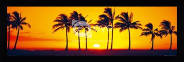 Hawaiian Sunset