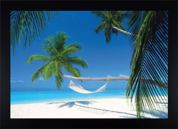 Island Paradise