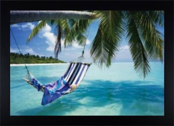 Island Paradise