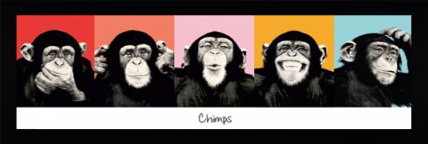 Monkey Faces