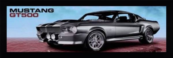 Mustang GT500