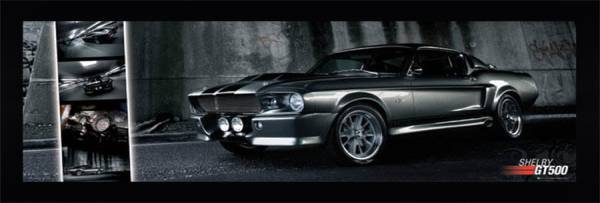 Shelby GT 500