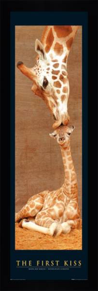 The First Kiss
