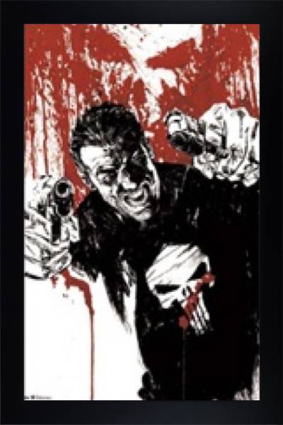 The Punisher