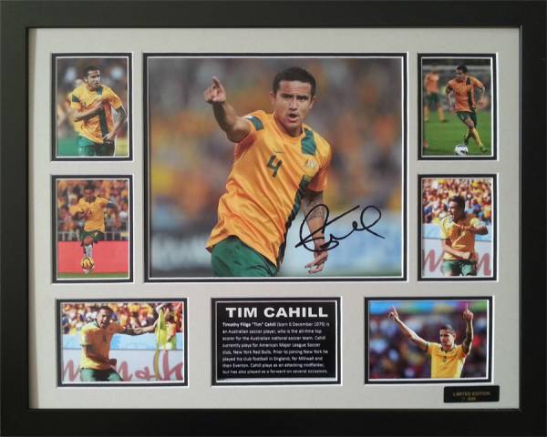 Tim Cahill