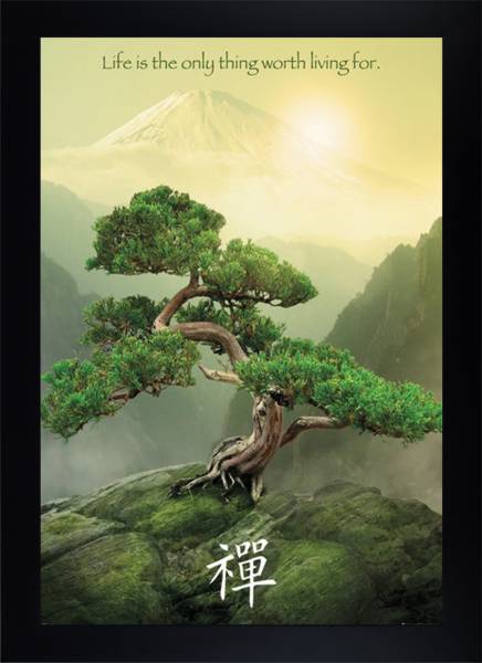 Zen Mountain